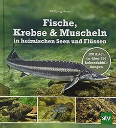 Fische, Krebse & Muscheln in heimischen Seen und Flüssen: 120 Arten in über 350 Lebendabbildungen