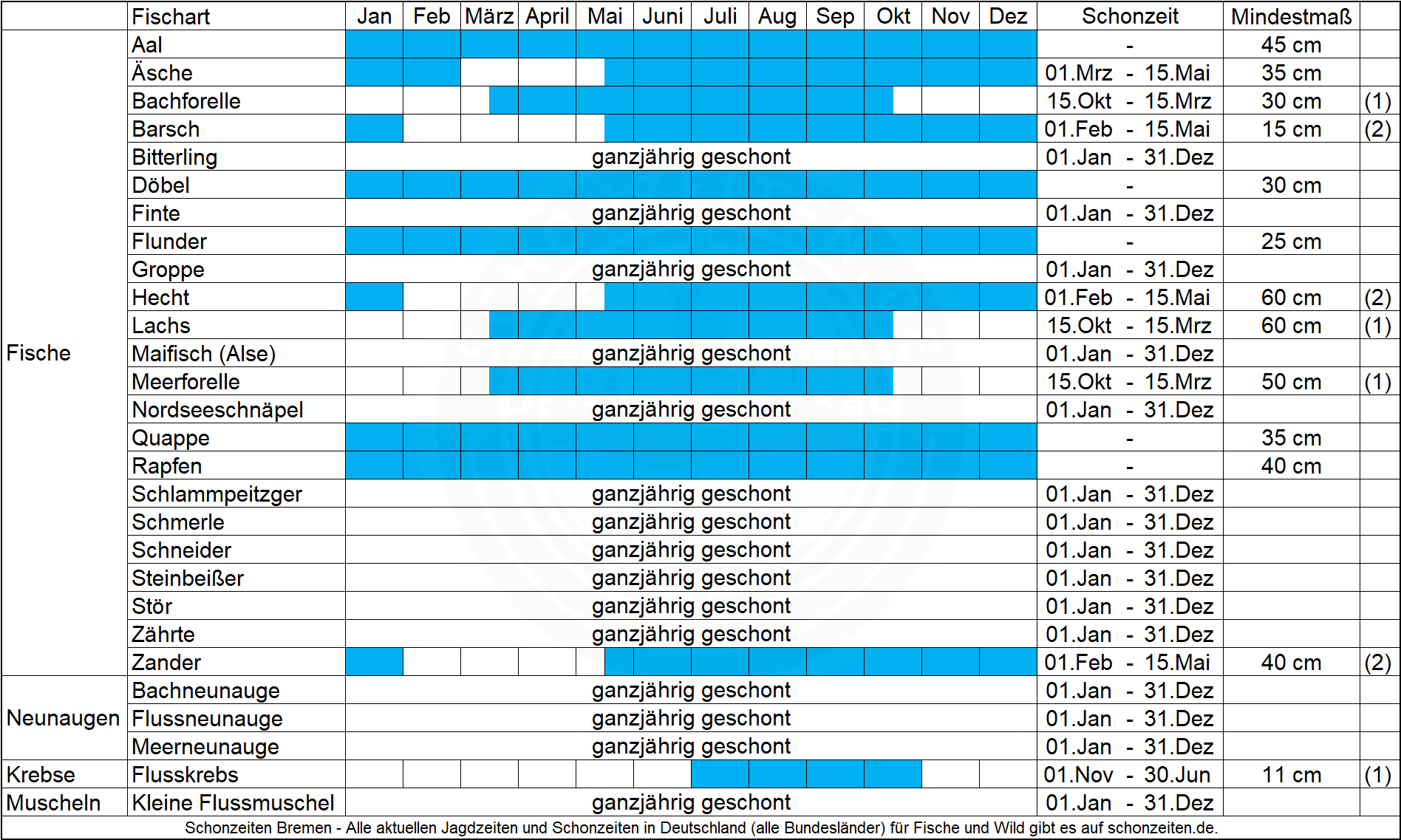 Schonzeiten Fische Bremen