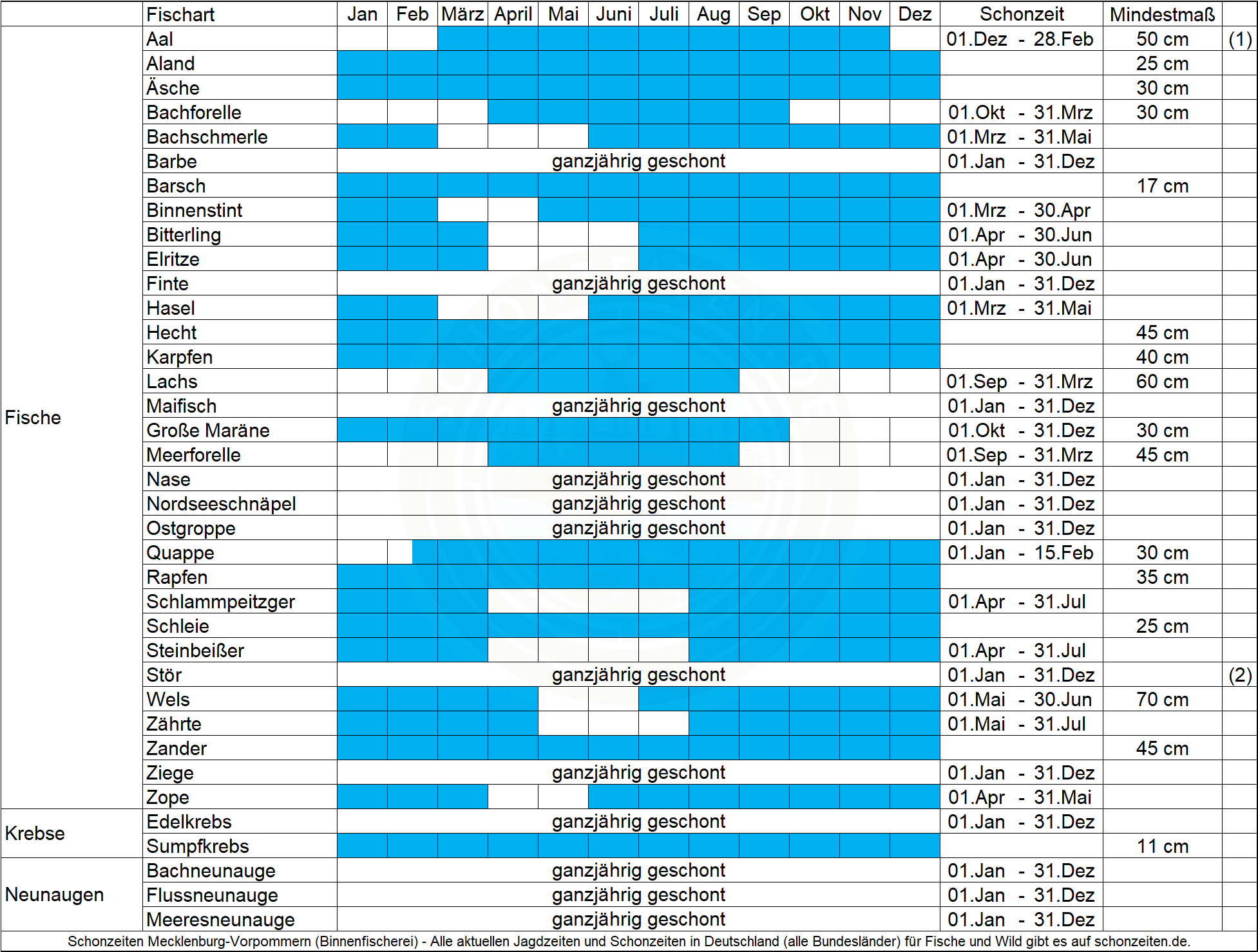 Schonzeiten Fische Mecklenburg-Vorpommern (Binnen)