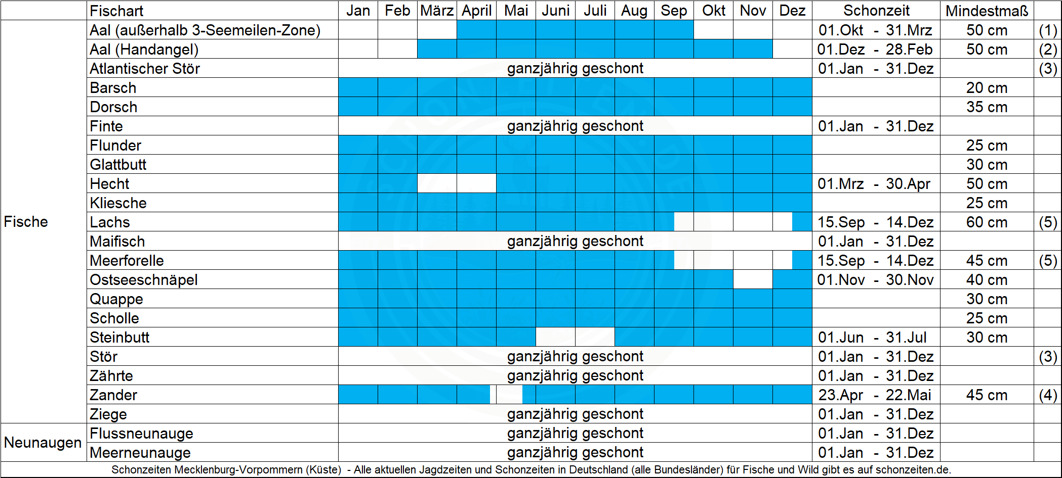 Schonzeiten Fische Mecklenburg-Vorpommern (Küste)