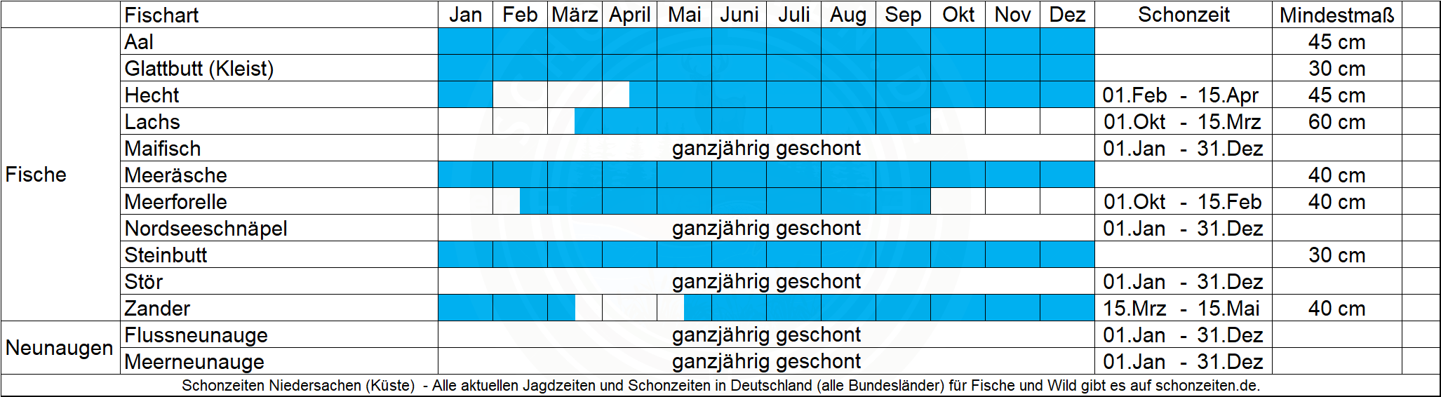 Schonzeiten Fische Niedersachsen (Küste)