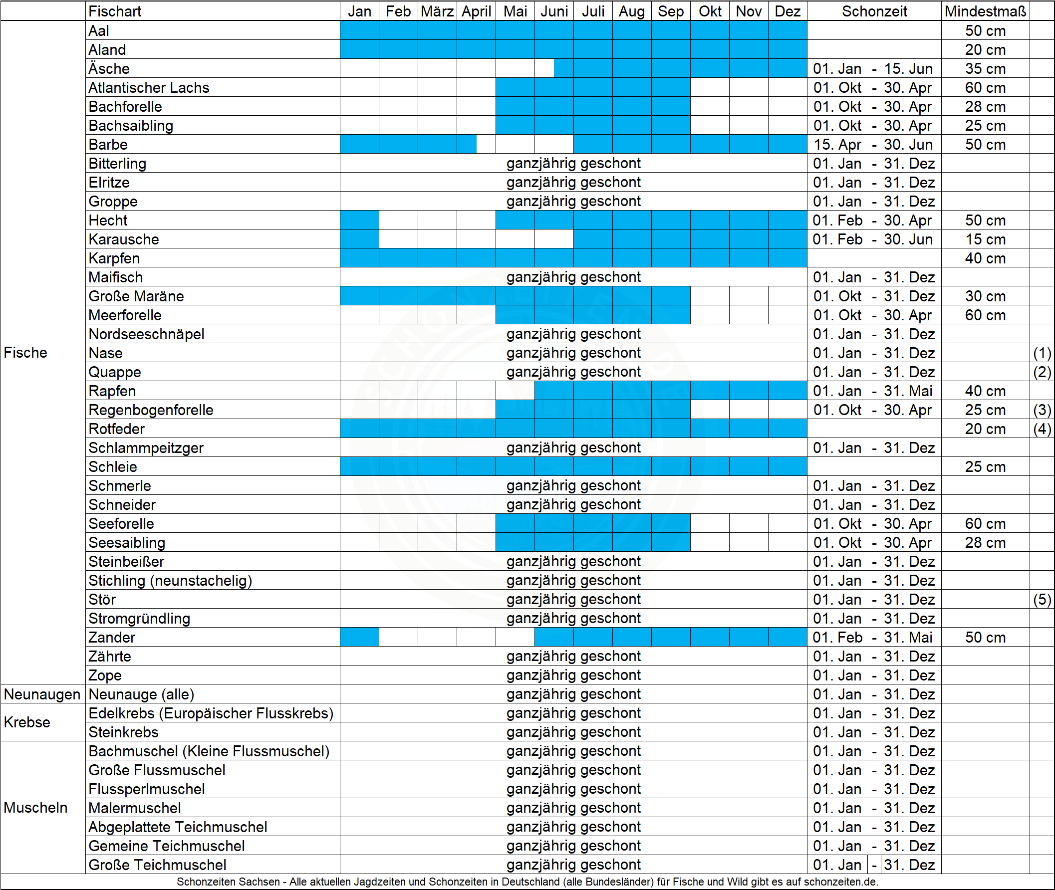 Schonzeiten Fische Sachsen